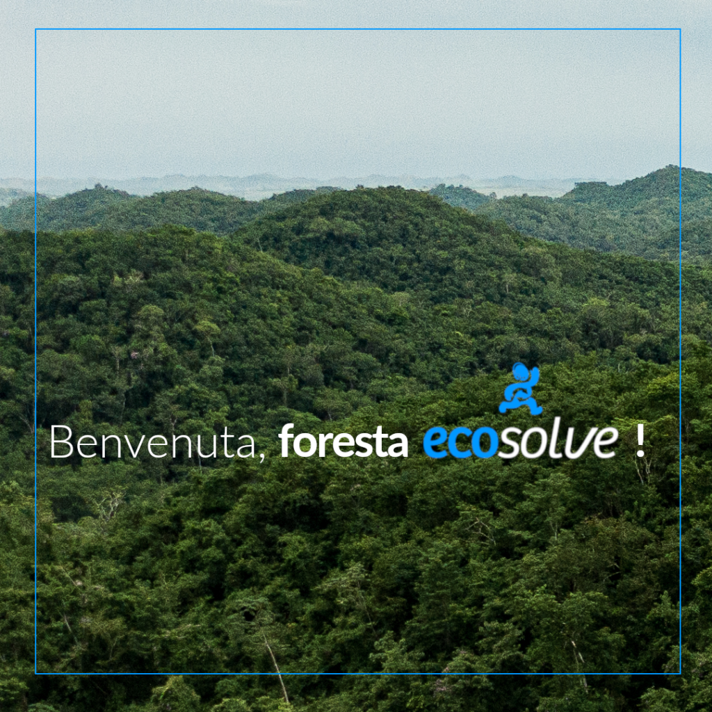 foresta Ecosolve